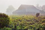 Barn In Fog_20547v2